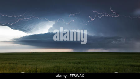 Supercell thunderstorm over a field at sunset, Colorado, United States Stock Photo