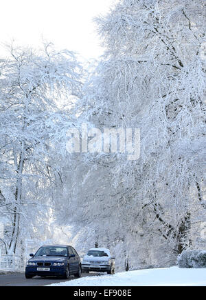 Winter weather Jan 29th 2015 Stock Photo - Alamy