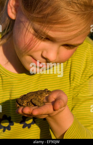 European common toad, toads, girl, child, children, Mädchen, Kind, Erdkröte, Kröte, Kröten, Hand, Bufo bufo Stock Photo