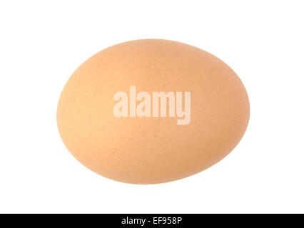 Single brown chicken egg isolated on white Stock Photo