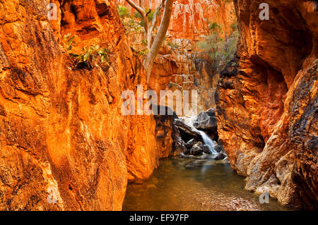 Red rock walls in famous Standley Chasm. Stock Photo