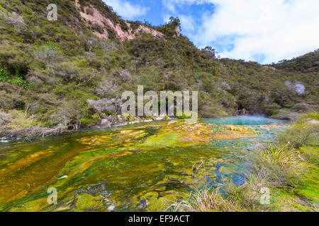 Rainbow crater in Waimangu Volcanic Valley, a steaming hot spring with acid flowing water, deposits of colorful silica mineral. Stock Photo