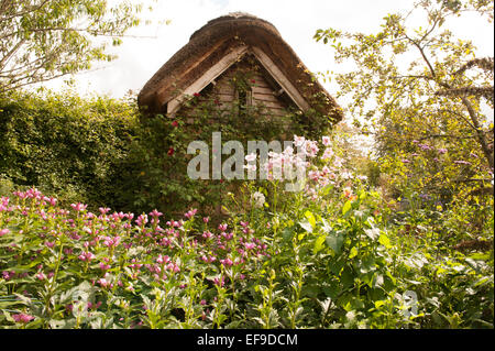 Thatched Roof Summerhouse in the Cottage Garden at Rosemoor, Devon, England, UK Stock Photo