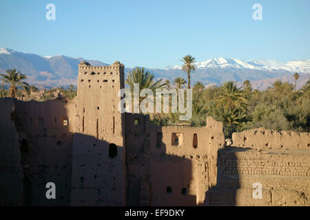 Kasbah Amerhidil in Skoura oasis with a view of High Atlas Mountain snow covered in snow, Morocco Stock Photo