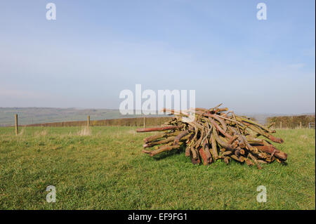 Stack of Logs on Top of a Hill at The Rollright Stones on the Oxfordshire and Warwickshire Border, ENgland, UK Stock Photo