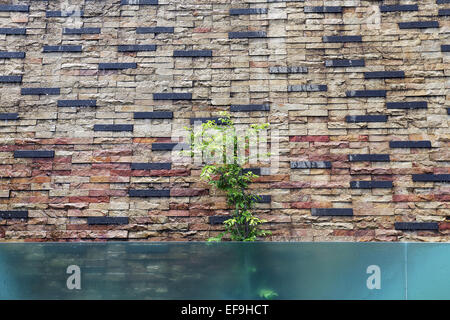 Beautiful wall is covered with multi-colored tiles Stock Photo