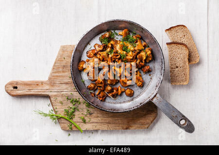 Roasted wild forest  mushrooms in pan on white textured background Stock Photo