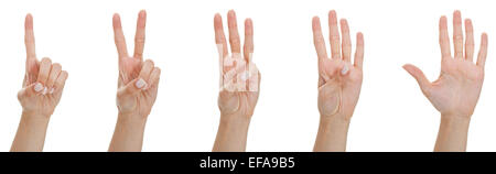 Counting woman hands from one to five, isolated on white. Stock Photo
