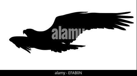 Flying eagle vector silhouette. EPS8 Stock Photo