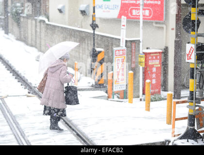 Tokyo, Japan. 30th Jan, 2015. A woman walks across a railroad track amid snow in Tokyo, Japan, Jan. 30, 2015. Credit:  Stringer/Xinhua/Alamy Live News Stock Photo