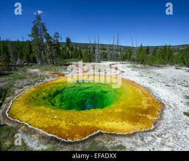 Morning Glory Pool, Yellowstone National Park, Wyoming, United States Stock Photo