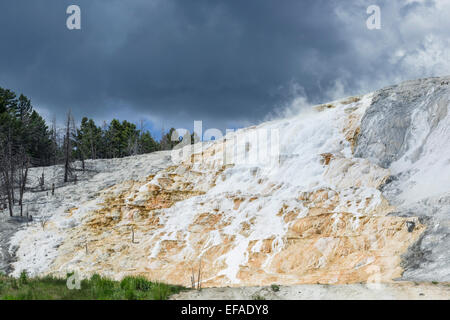 Sinter terraces of the Lower Terrace, Mammoth Hot Springs, Yellowstone National Park, Wyoming, United States Stock Photo