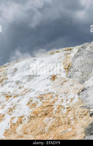 Sinter terraces of the Lower Terrace, Mammoth Hot Springs, Yellowstone National Park, Wyoming, United States Stock Photo