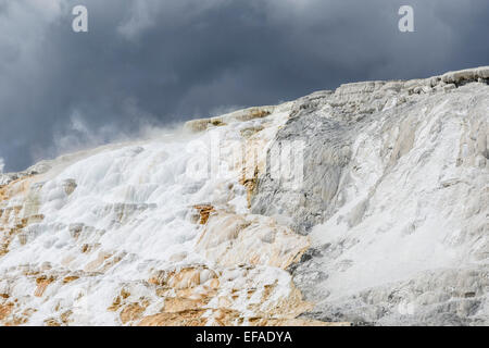 Sinter terraces of the Lower Terrace, Mammoth Hot Springs, Yellowstone National Park, Wyoming, United States Stock Photo