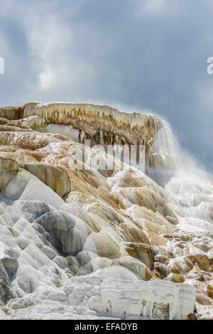 Sinter terraces of the Lower Terrace, Mammoth Hot Springs, Yellowstone National Park, Wyoming, United States Stock Photo