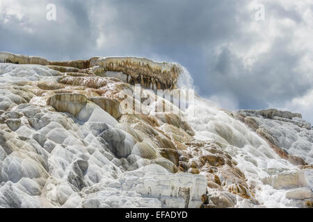 Sinter terraces of the Lower Terrace, Mammoth Hot Springs, Yellowstone National Park, Wyoming, United States Stock Photo