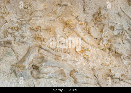 Covered findspot of dinosaur bones, Dinosaur National Monument, Jensen, Utah, United States Stock Photo