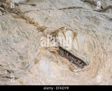 Covered findspot of dinosaur bones, Dinosaur National Monument, Jensen, Utah, United States Stock Photo