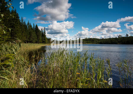 Lake Älgetjärnet, Kynnefjäll, Munkedal, Västra Götaland County, Bohuslän, Sweden Stock Photo