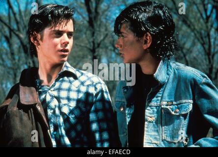 THE OUTSIDERS (1983) C THOMAS HOWELL, RALPH MACCHIO OUTS 031 Stock
