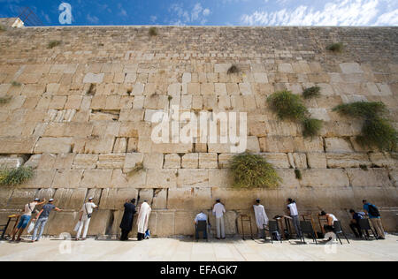 Jewish men are praying in front of the western wall in the old city of Jerusalem Stock Photo