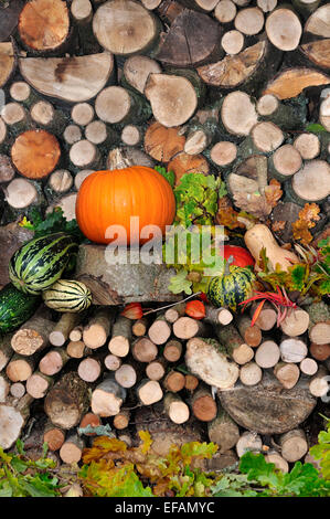 A log pile with some harvested vegetables UK Stock Photo