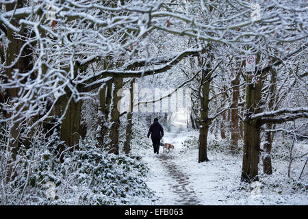 Snow covered Baddesley Ensor in North Warwickshire, UK. A woman walks her dog through the snow covered trees in Keys Hill. Stock Photo