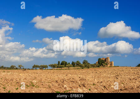 An old countryside house surrounded by trees. Outside there is a cultivated dried land Stock Photo