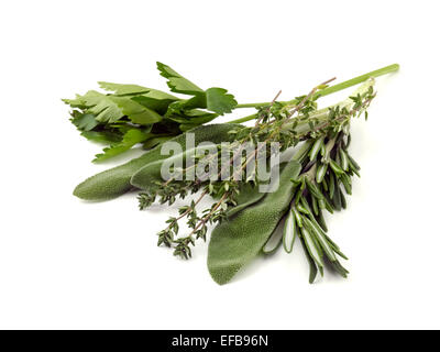 parsley sage rosemary and thyme Stock Photo