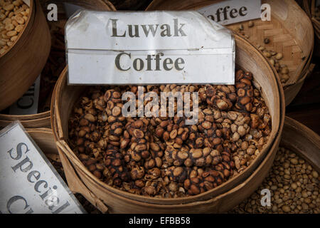 Luwak (Civet cat) coffee on display at a coffee plantation in Bali Stock Photo