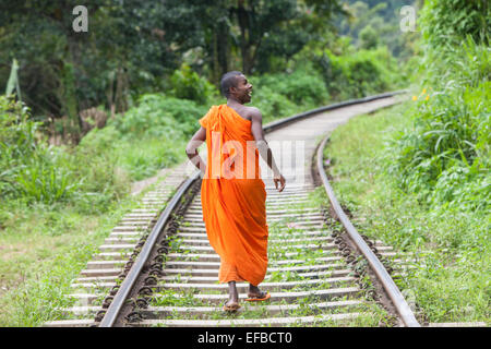 At town of Ella in Highlands of Sri Lanka.Local, Buddhist monk, walking on train track, a common practice with few trains.monk,monks, Stock Photo
