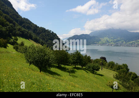 Lake Lucerne with view towards Mount Pilatus and Hergiswil Stock Photo