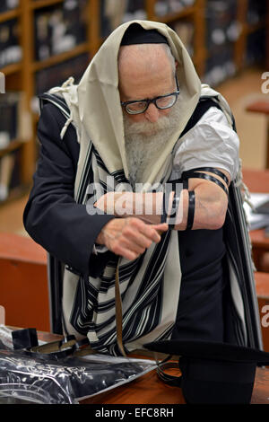 An Older Jewish Man With A Beard Putting On Tefillin In A Synagogue At ...