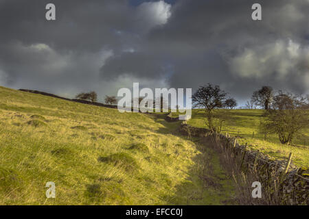 Walled in - Farmland in Dovedale, Peak District Stock Photo