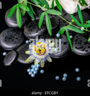 spa background of passiflora flower, branches, towels, zen basalt stones with drops and blue pearl beads in dark water, closeup Stock Photo
