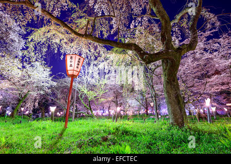 Kyoto, Japan at Hirano Temple festival grounds in spring. The lantern reads 'Moonrise, Hirano Temple' Stock Photo