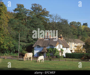 Cottage at Swan Green, Lyndhurst, New Forest, Hampshire, England, United Kingdom Stock Photo