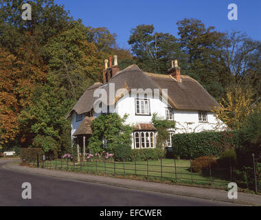 Cottage at Swan Green in autumn, Lyndhurst, New Forest, Hampshire, England, United Kingdom Stock Photo