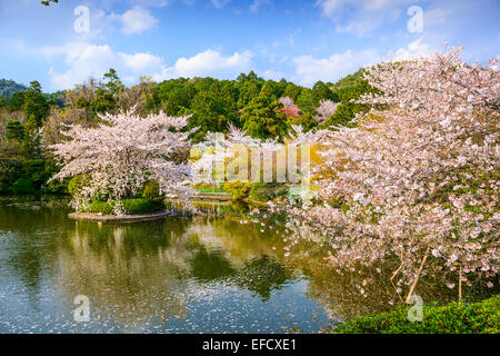 Kyoto, Japan springtime at Ryoanji Temple's pond. Stock Photo