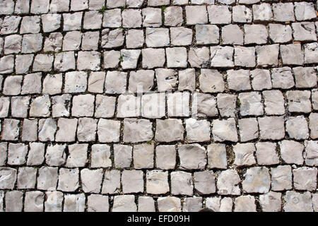 Pavement Bricks textures Stock Photo