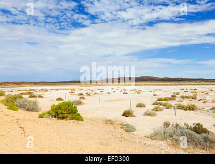 Saltpan along the Oodnadatta Track, South Australia Stock Photo