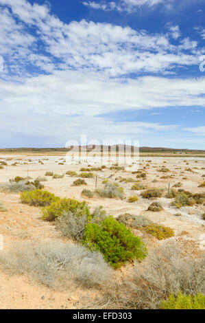 Saltpan along the Oodnadatta Track, South Australia Stock Photo