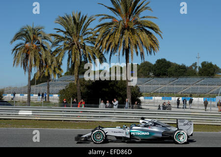 Jerez, Spain. 1st Feb, 2015. German Formula One driver Nico Rosberg steers the new Mercedes W06 during the training session for the upcoming Formula One season at the Jerez racetrack in Jerez de la Frontera, Spain on Sunday. Credit:  dpa picture alliance/Alamy Live News Stock Photo