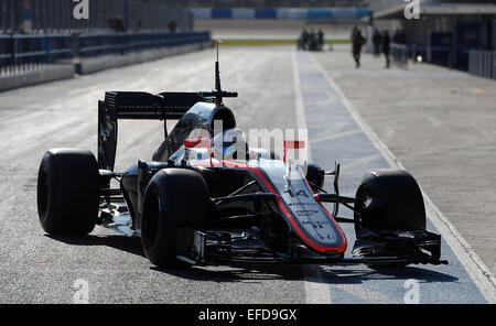 Jerez, Spain, 1st Feb, 2015. Spanish Formula One driver Fernando Alonso of McLaren Honda steers the new MP4-30 during the training session for the upcoming Formula One season at the Jerez racetrack in Jerez de la Frontera, southern Spain on Sunday. Photo: Peter Steffen/dpa Credit:  dpa picture alliance/Alamy Live News Stock Photo