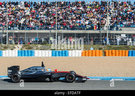 Jerez, Spain. 1st Feb, 2015.  Fernando Alonso tests the new McLaren-Honda (MP4-30) at Circuito de Jerez. Credit:  Kiko Jimenez/Alamy Live News Stock Photo