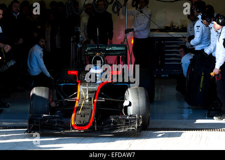 Jerez, Spain. 1st Feb, 2015.  Fernando Alonso tests the new McLaren-Honda (MP4-30) at Circuito de Jerez. Credit:  Kiko Jimenez/Alamy Live News Stock Photo