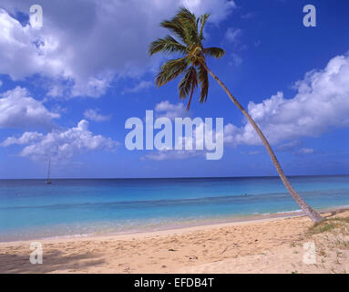 Darkwood Beach, Saint Mary’s Parish, Antigua, Antigua and Barbuda, Lesser Antilles, Caribbean Stock Photo