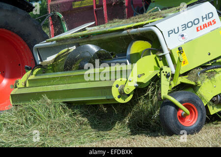 Close up of the pick up head of a Claas self propelled harvester making grass silage, UK Stock Photo