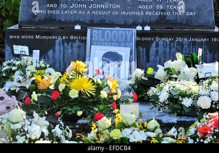 Bloody Sunday commemoration, Londonderry, Northern Ireland - 1st February 2015. Wreaths left by relatives at the Bloody Sunday memorial, in Rossville Street, on the 43rd anniversary of the Civil Rights march.  14 civilians were killed by British paratroopers on Bloody Sunday 30th January 1972. Credit:  George Sweeney/Alamy Live News Stock Photo