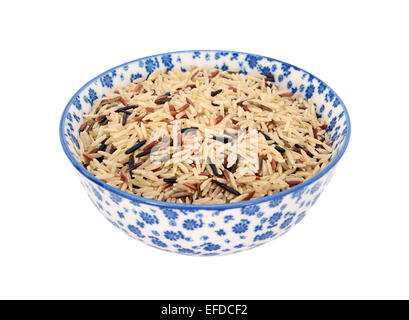 Wild rice, brown basmati and red camargue grains, in a blue and white porcelain bowl with a floral design Stock Photo